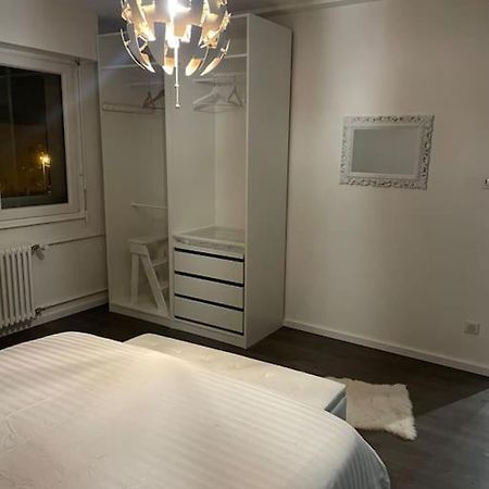 ستشيلتيغهيم Appartement Cosy Strasbourg المظهر الخارجي الصورة