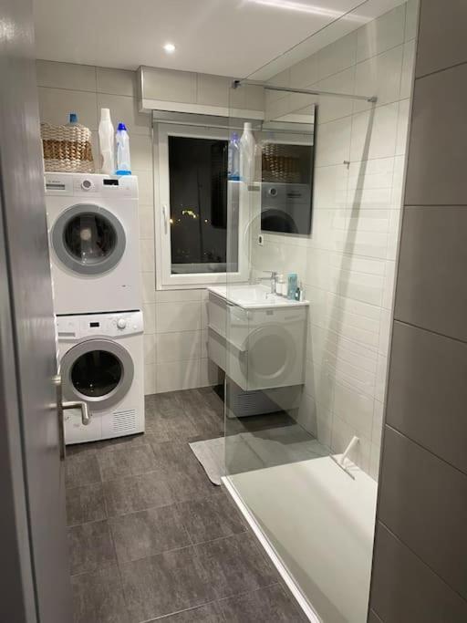 ستشيلتيغهيم Appartement Cosy Strasbourg المظهر الخارجي الصورة