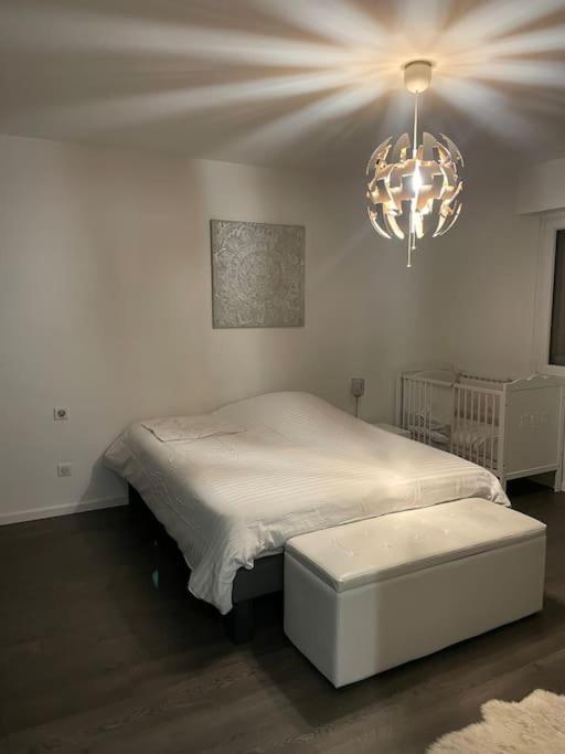 ستشيلتيغهيم Appartement Cosy Strasbourg المظهر الخارجي الصورة