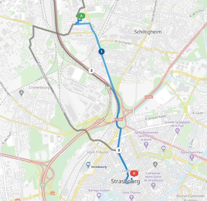 ستشيلتيغهيم Appartement Cosy Strasbourg المظهر الخارجي الصورة