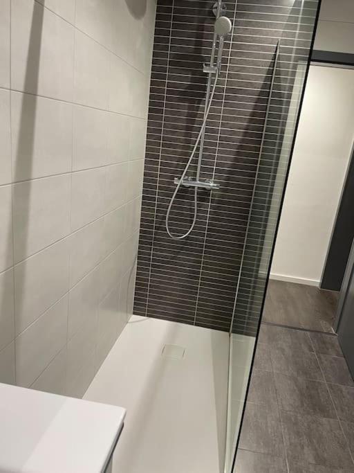 ستشيلتيغهيم Appartement Cosy Strasbourg المظهر الخارجي الصورة