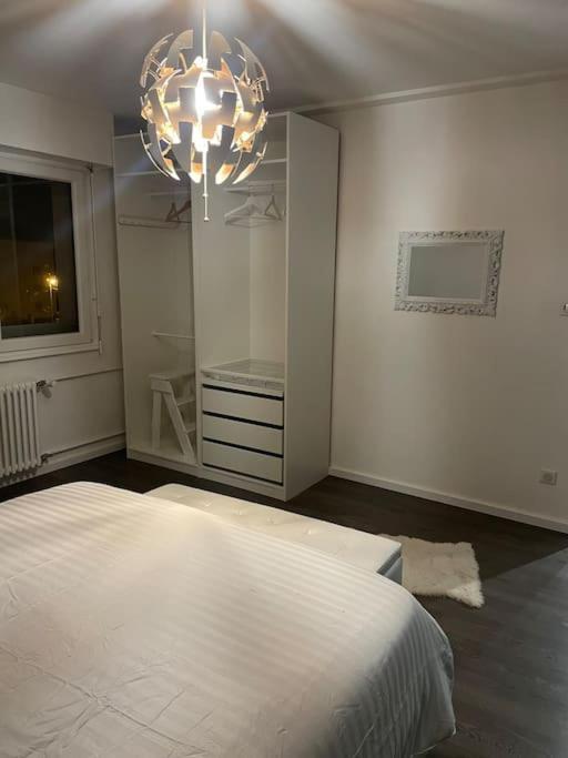 ستشيلتيغهيم Appartement Cosy Strasbourg المظهر الخارجي الصورة
